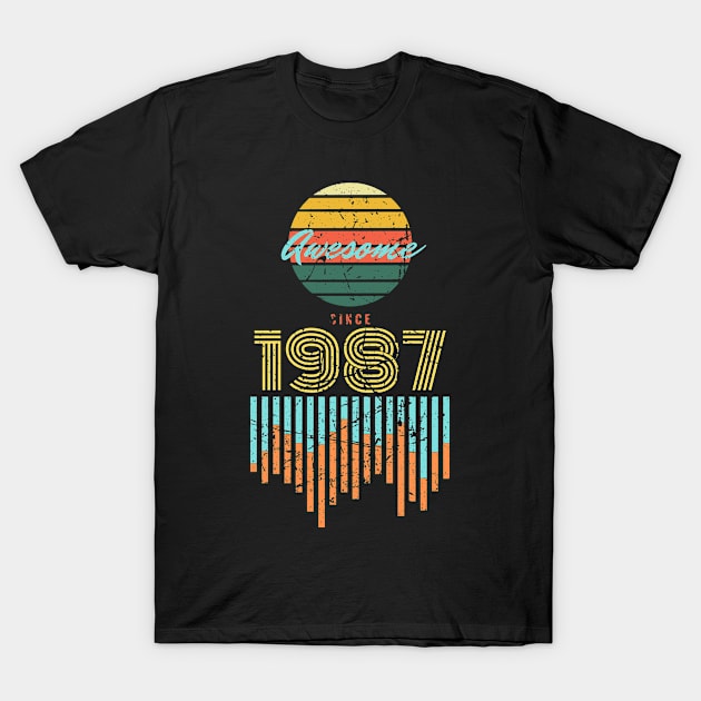 Awesome Since 1987 Vintage 33rd Birthday T-Shirt by Just Me Store